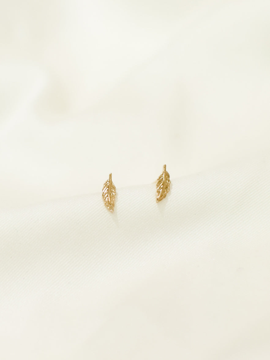 Boucles PLUM or
