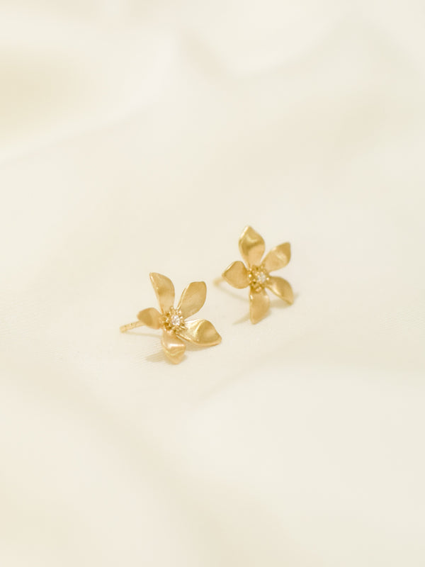 Boucles Lily or