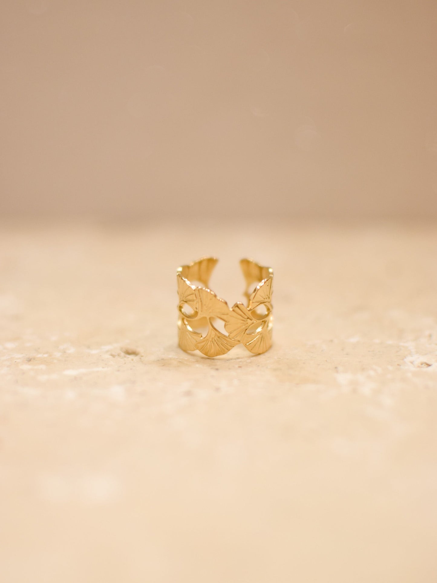 Bague GINKO