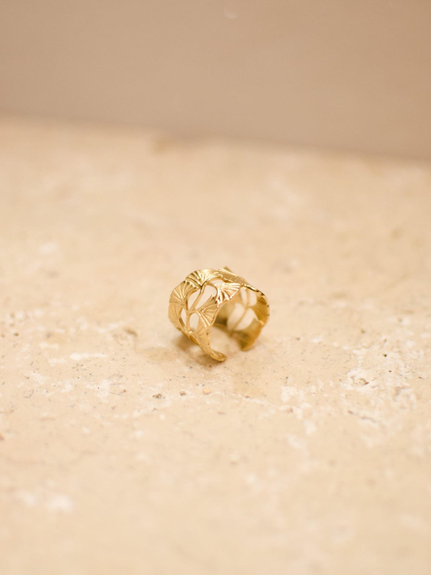 Bague GINKO