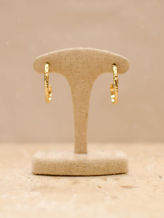 Boucles ANEO
